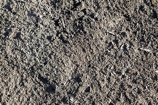 Topsoil or Compost: Which do you need?