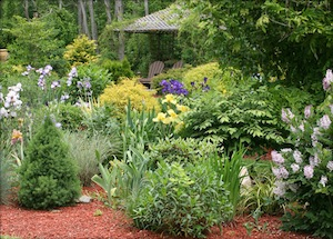 Tips to Start Spring Landscaping Off Right